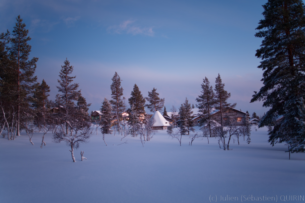 Forêt boréale en Finlande