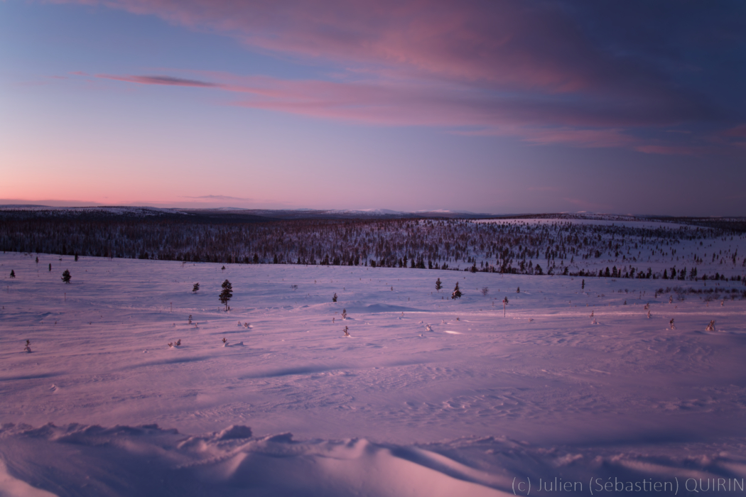 Forêt boréale en Finlande