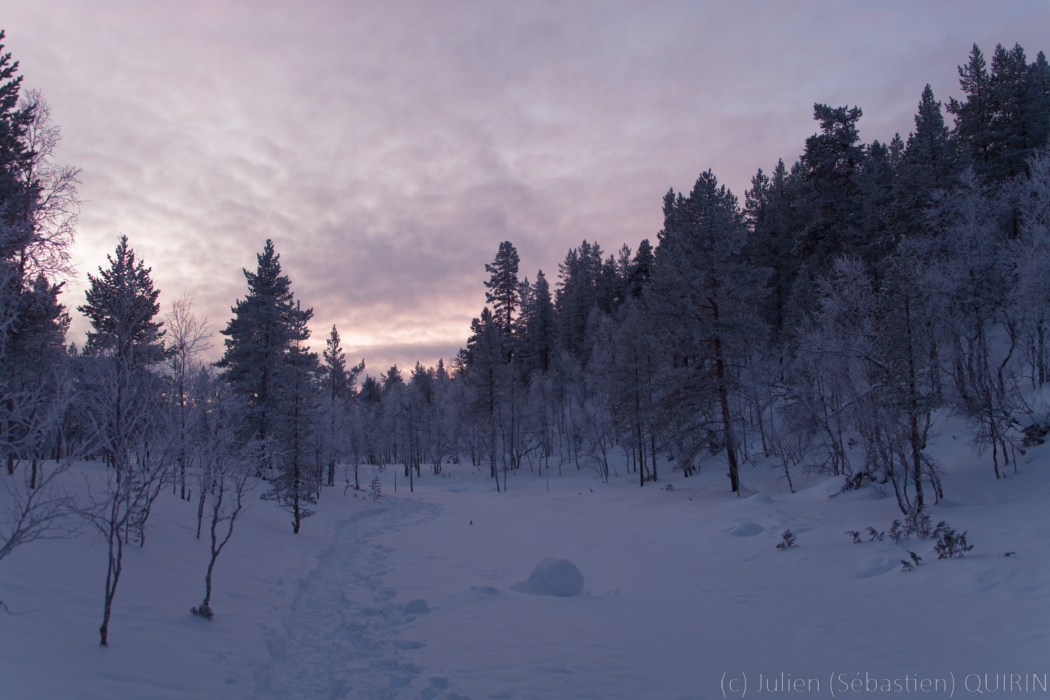 Parc national Urho Kaleva Kekkonen