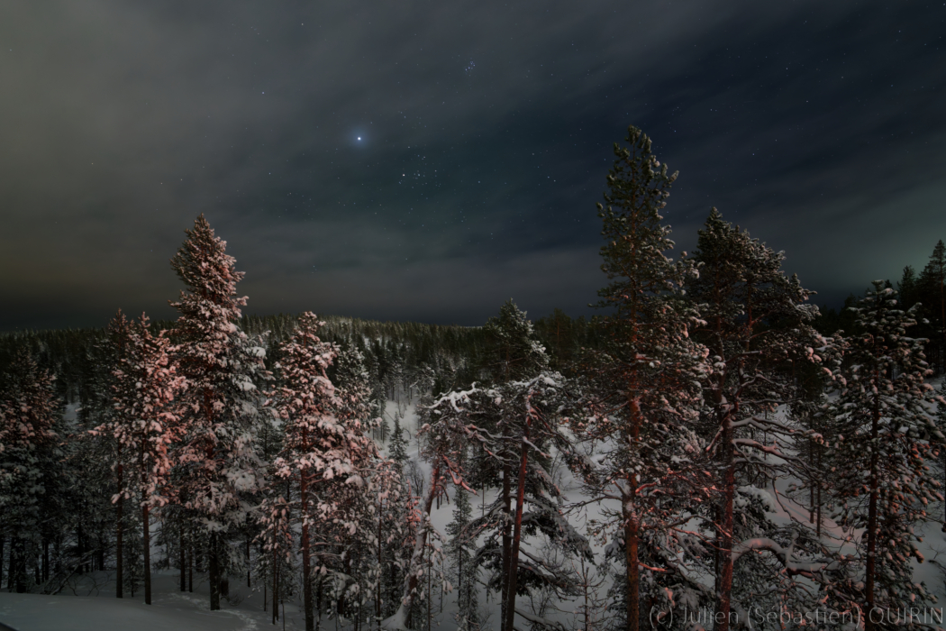 Jupiter, les Hyades et les Pléiades au-dessus de la forêt