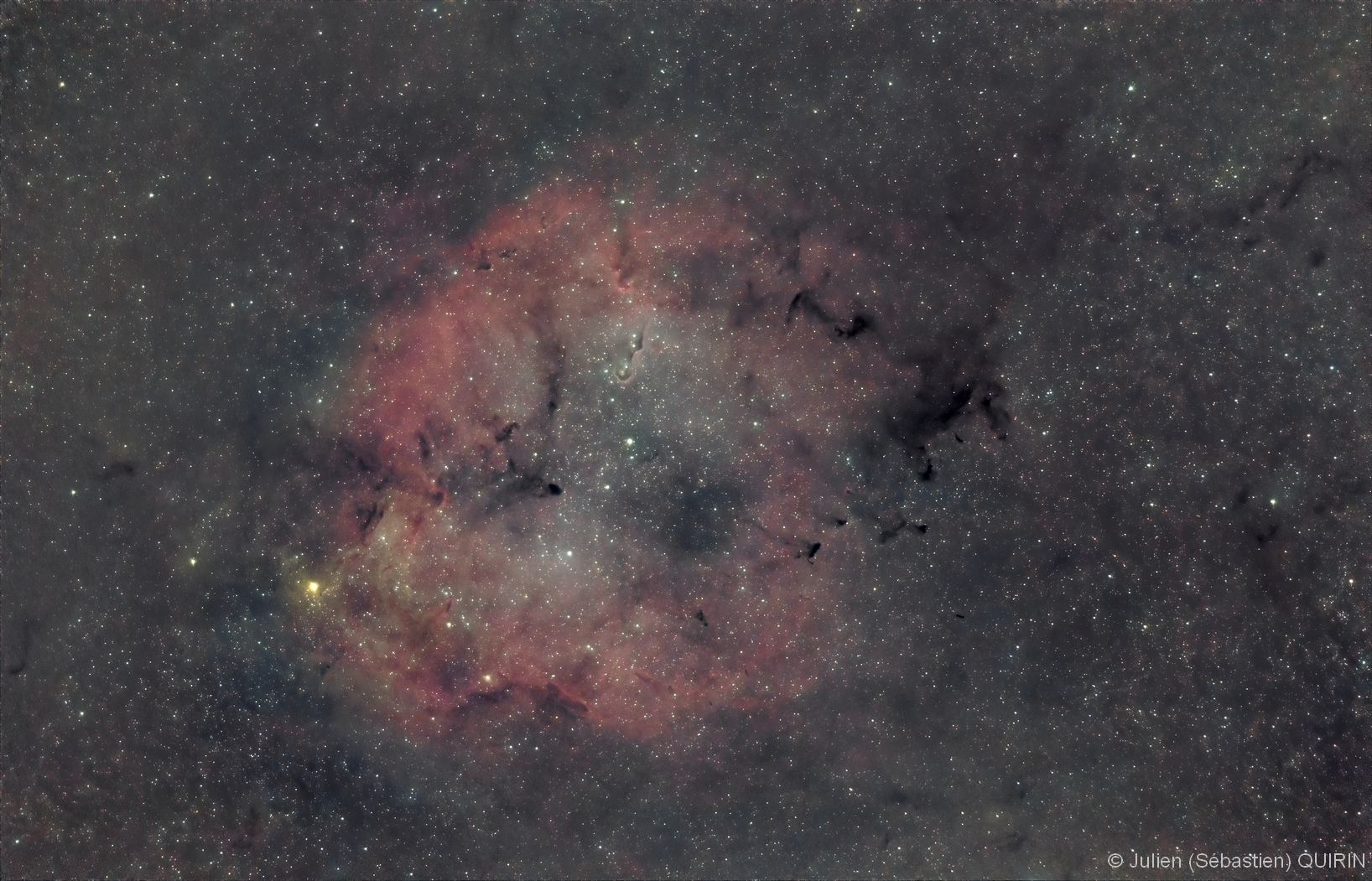 IC 1396 en grand champ