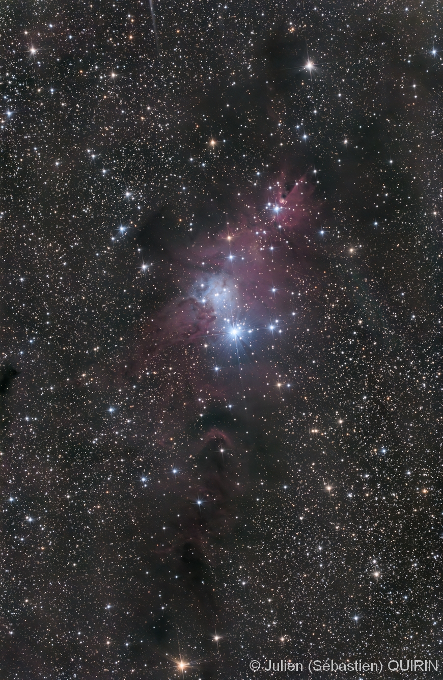 NGC 2264 - Image 1