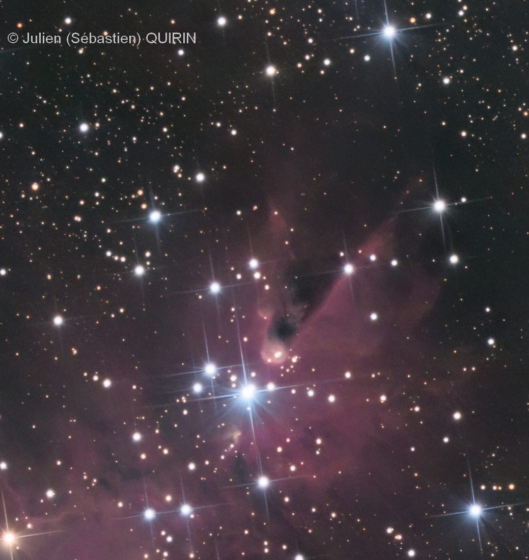 NGC 2264 - Image 2