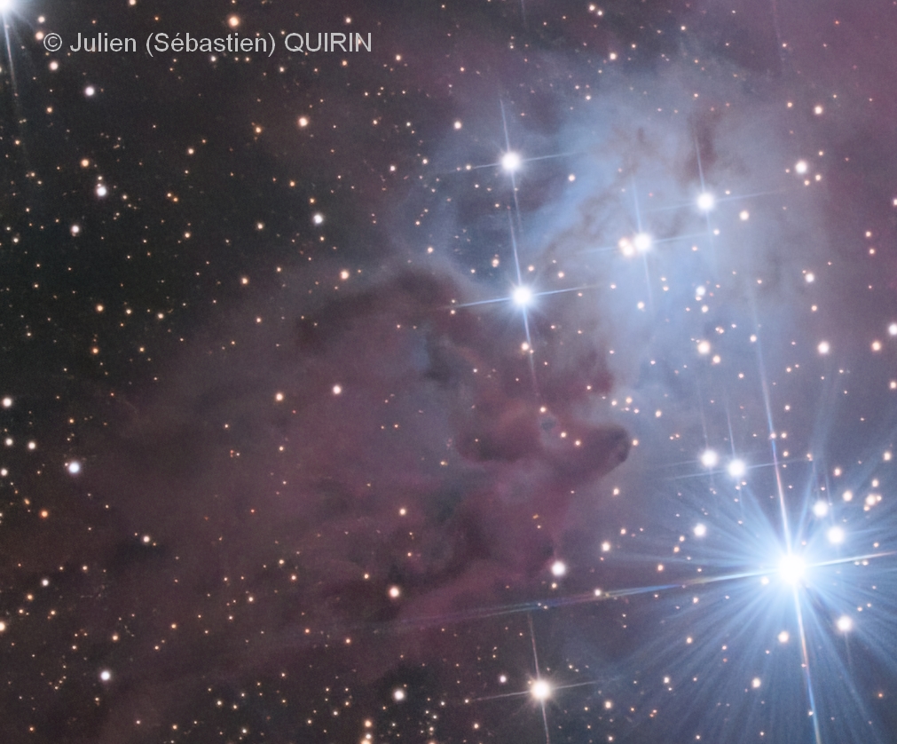 NGC 2264 - Fourrure de renard